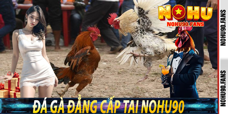 Đá gà