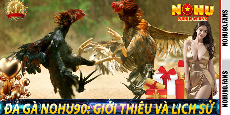 Đá Gà Nohu90: Giới thiệu và lịch sử